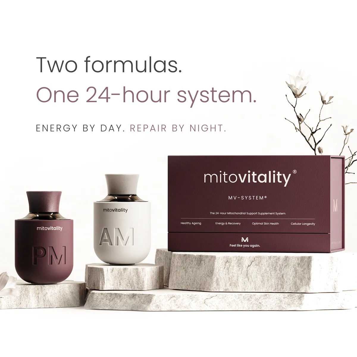 Mitovitality MV-SYSTEM® capsule supplement product photo